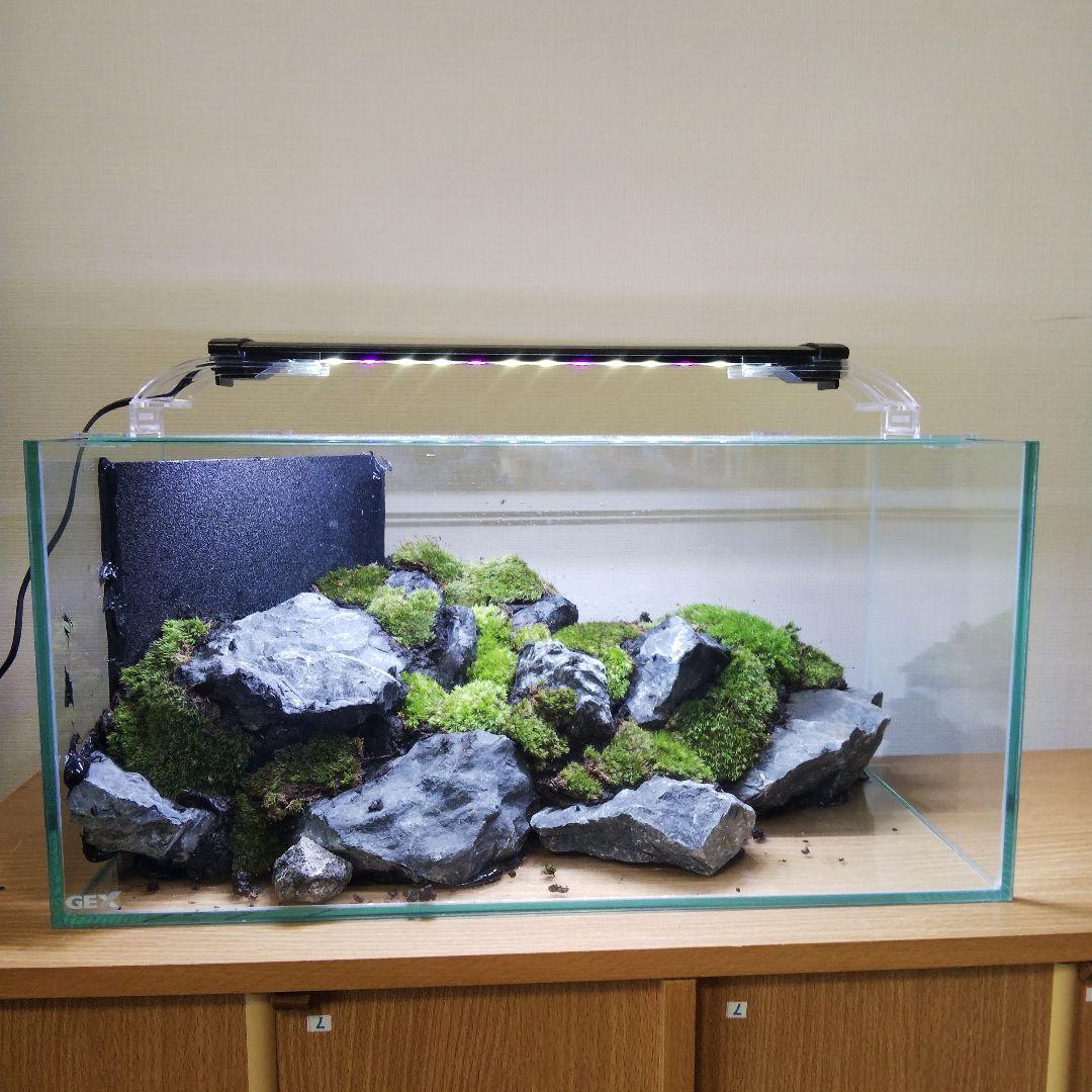 【完成品】アクアリウム　アクアテラリウム