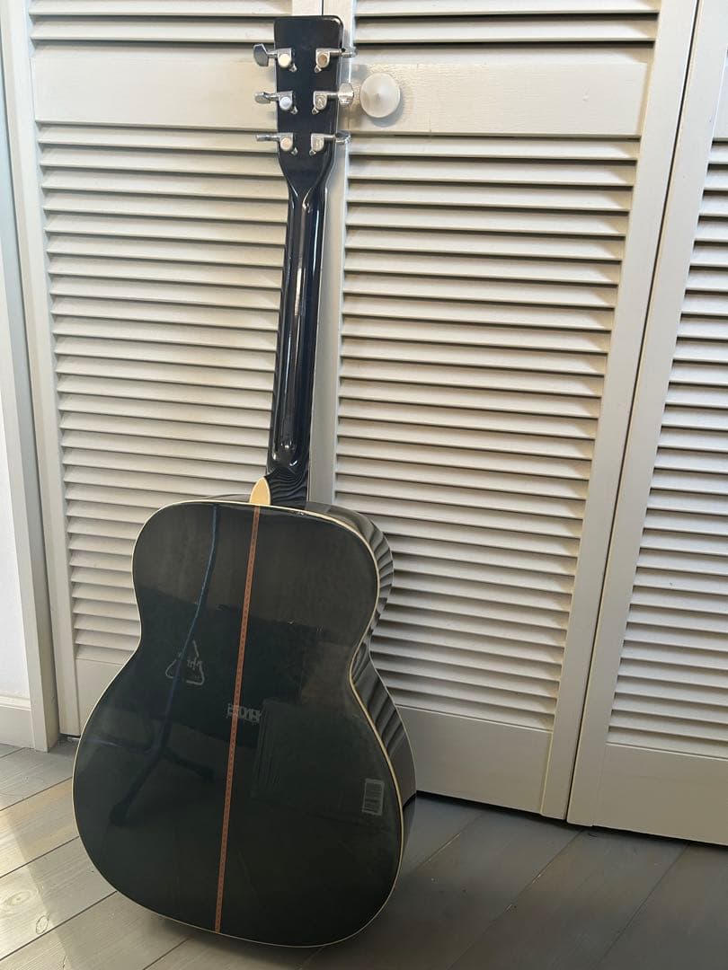 Morris MF-50 アコースティックギター ブルー