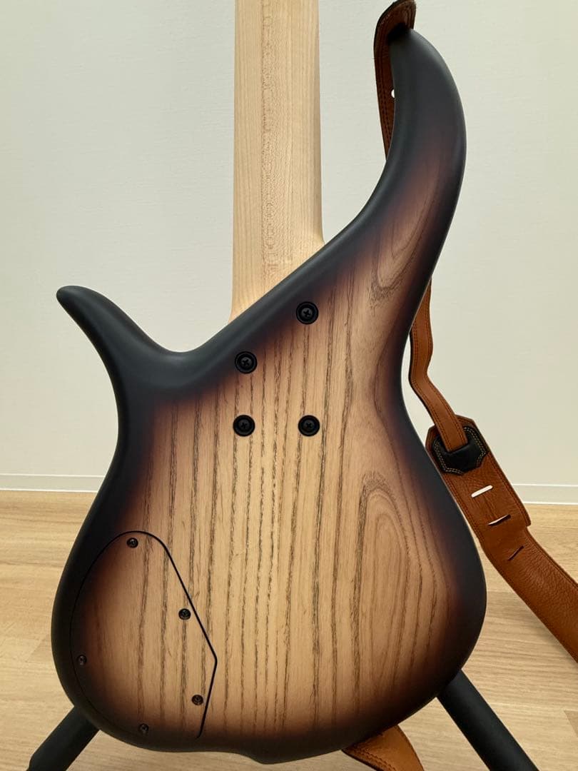 F-bass BN5 Brown Sunburst 18年製