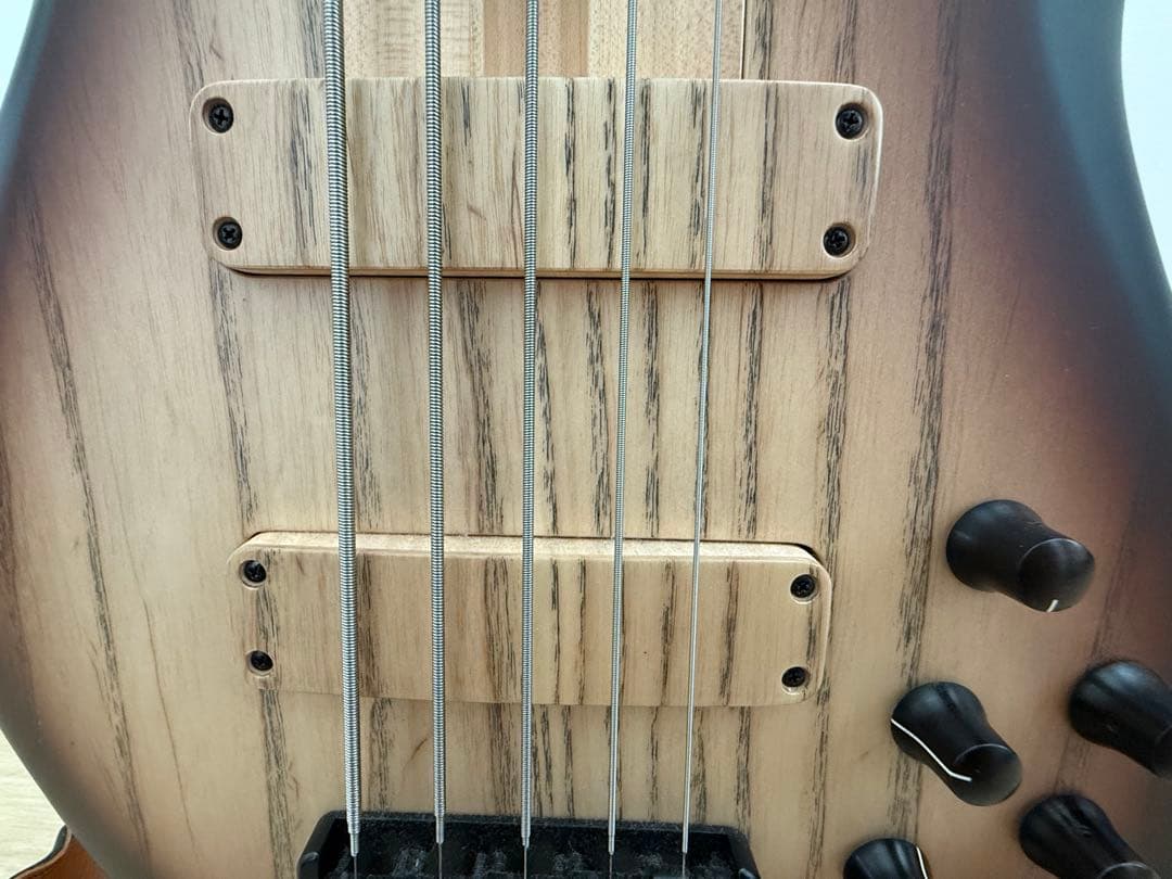 F-bass BN5 Brown Sunburst 18年製