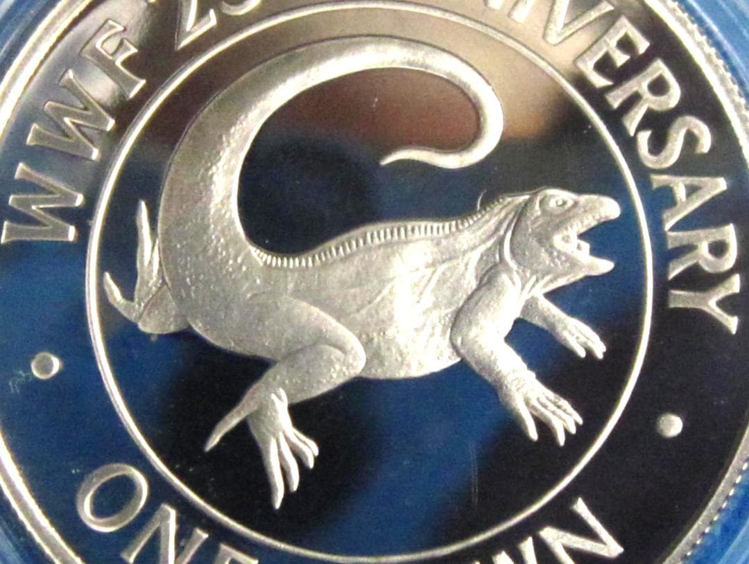 ８８年　タークスカイコス諸島　WWF２５周年記念　プルーフ銀貨　イグアナ図　１枚