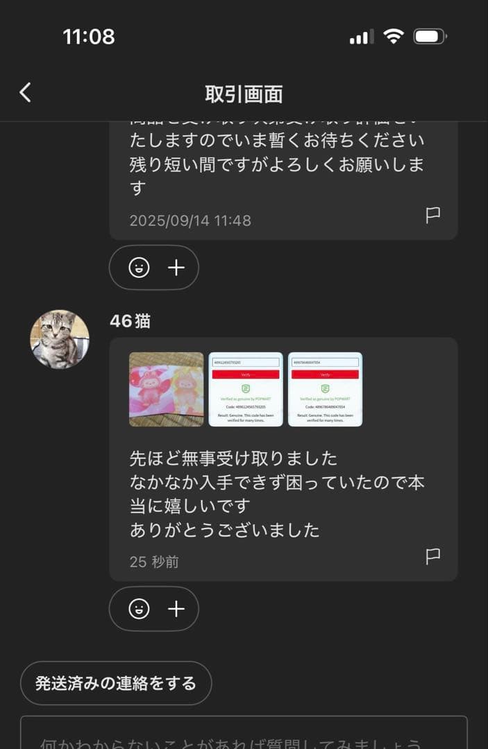 【正規品・未開封】Labubu Big into Energy 1箱