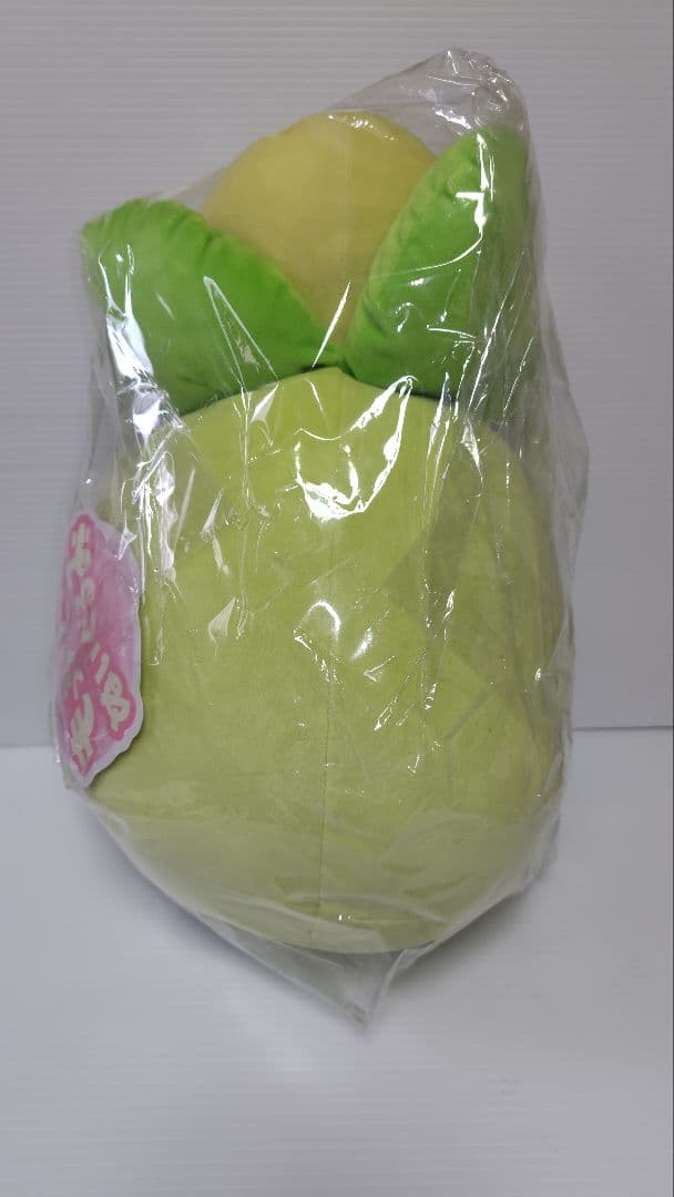 希少！　ポケモン　ミニーブ　もっちりっち　ぬいぐるみポケモンセンター