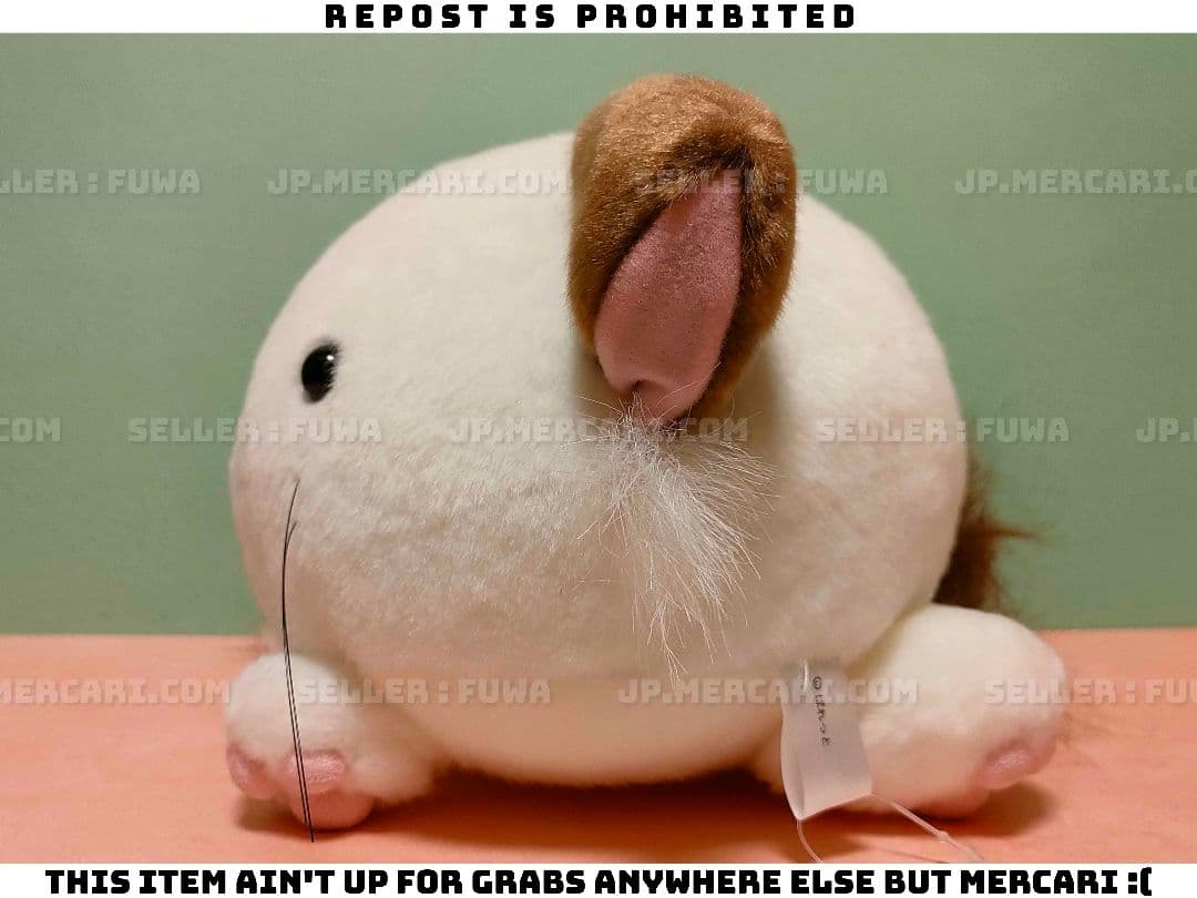 【未使用】ましろ色シンフォニー ぱんにゃ ねこ ぬいぐるみ