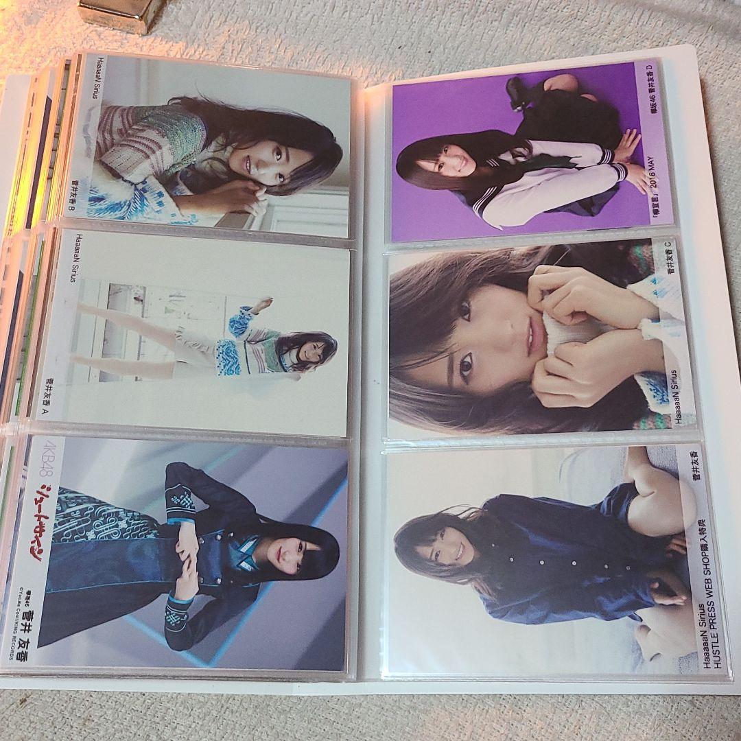 櫻坂　菅井友香　生写真　ほぼフルコンプ　美品