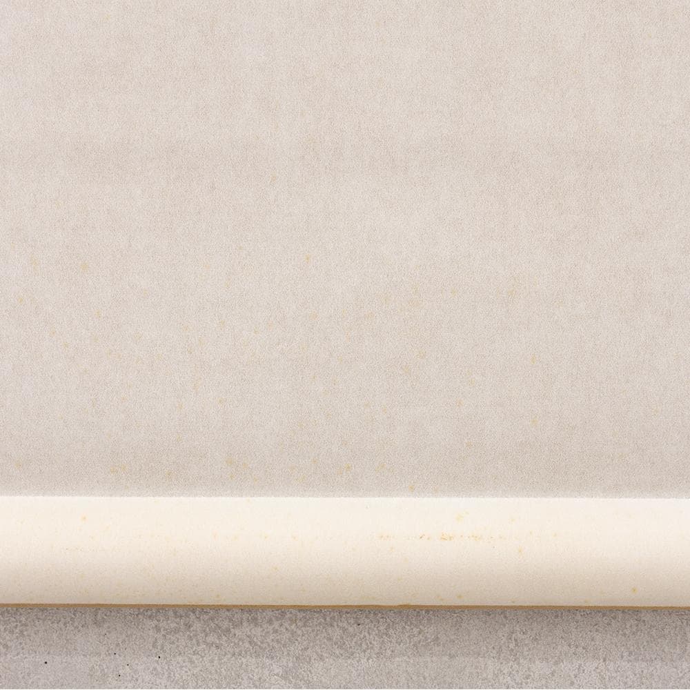 掛軸 茶掛け 横幅 三代 鈴木表朔「紅葉満千山」京塗表派の承継者 共箱