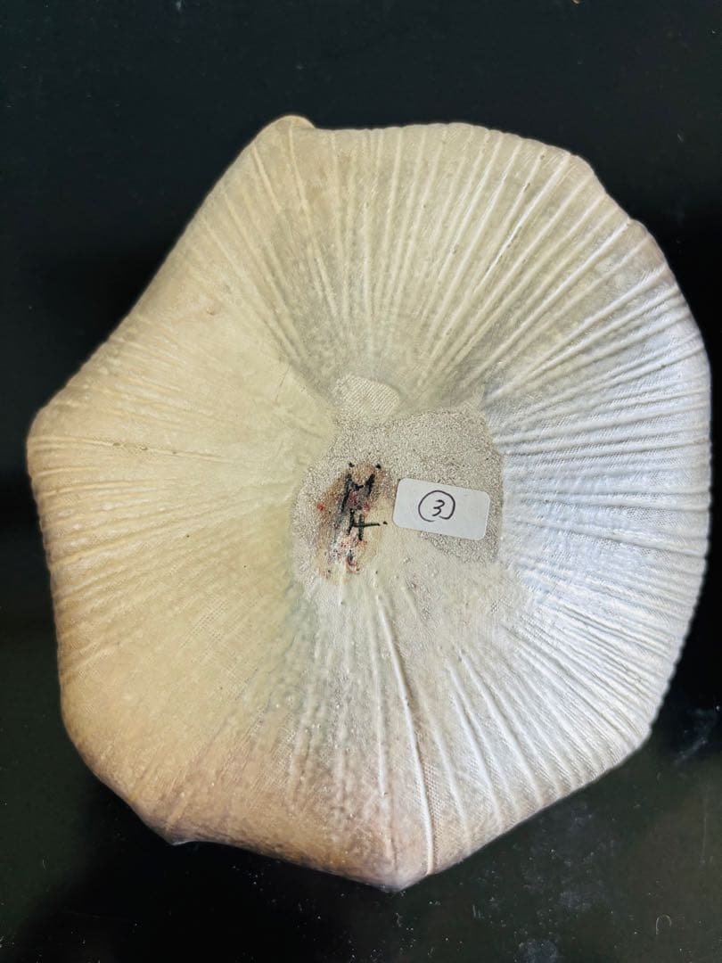 林みちよ　紅縁銀彩皿（No.3）　菓子皿　オブジェ　アート　茶道