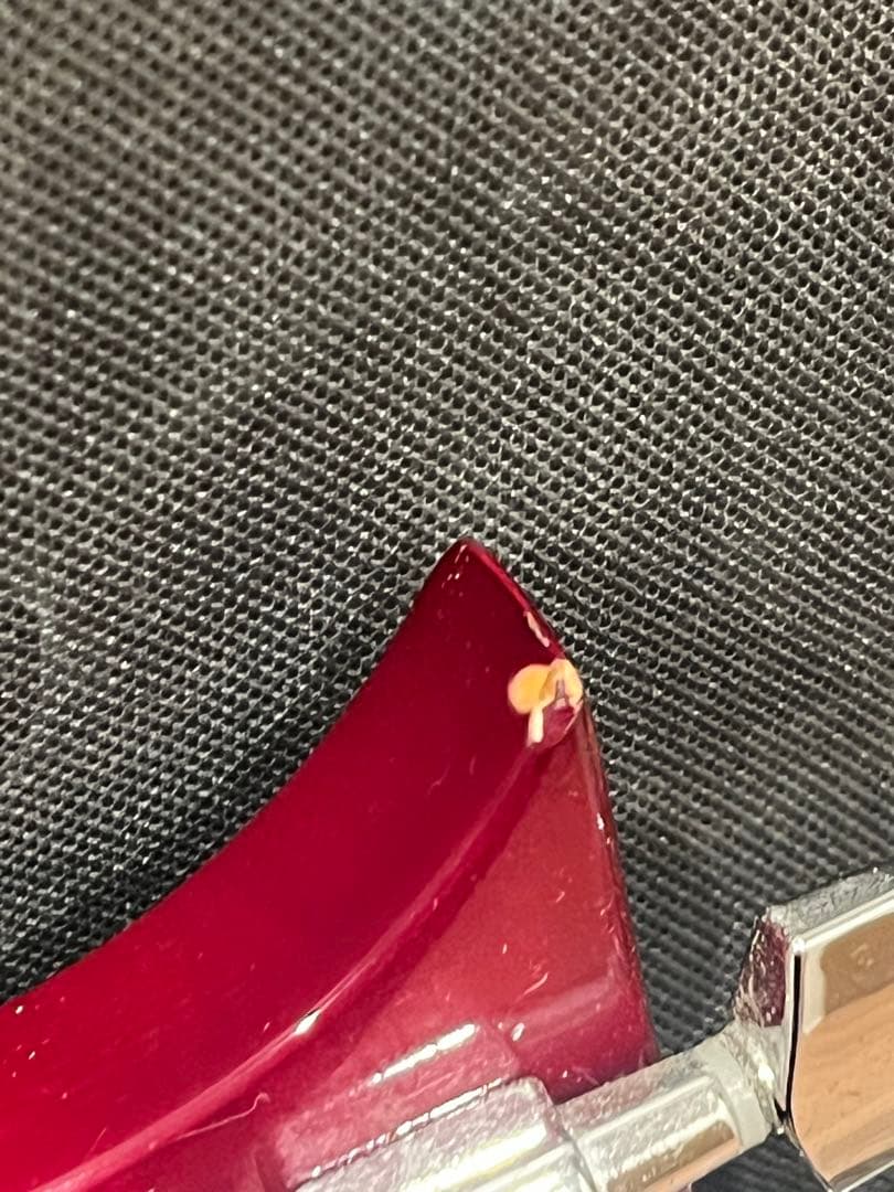 PRS SE Custom 24 ポールリードスミス