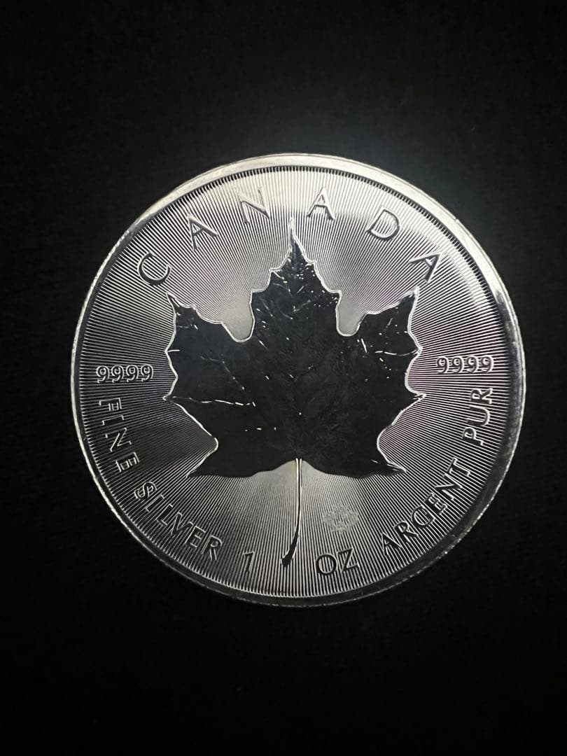 メイプルリーフ銀貨(25枚)１オンス2024年