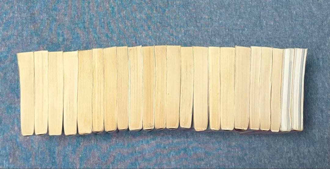 藤本ひとみ　まんが家マリナシリーズ　22冊セット