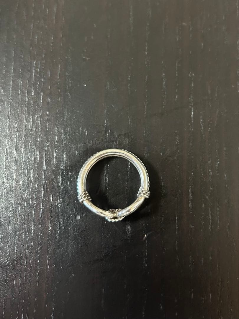 スティーブアルビソ　ホースウィスパラーリング　27号