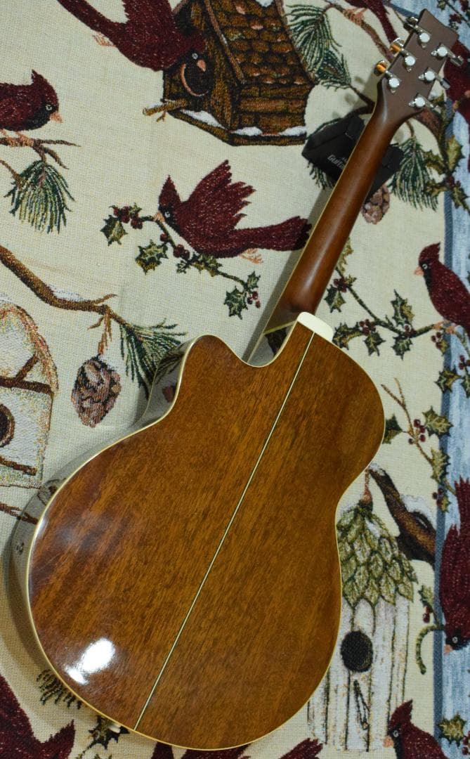 Morris MR-451BS エレアコ ケース付