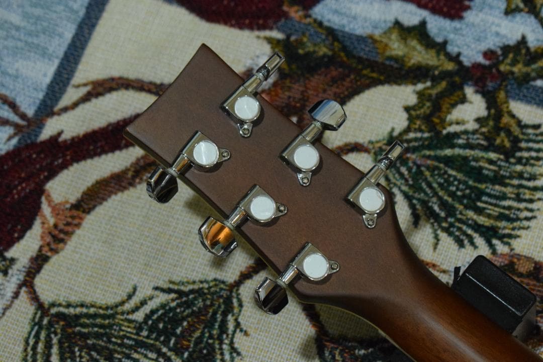 Morris MR-451BS エレアコ ケース付