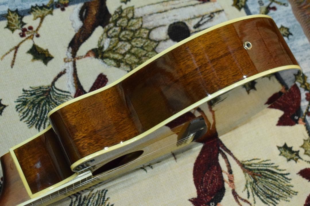 Morris MR-451BS エレアコ ケース付