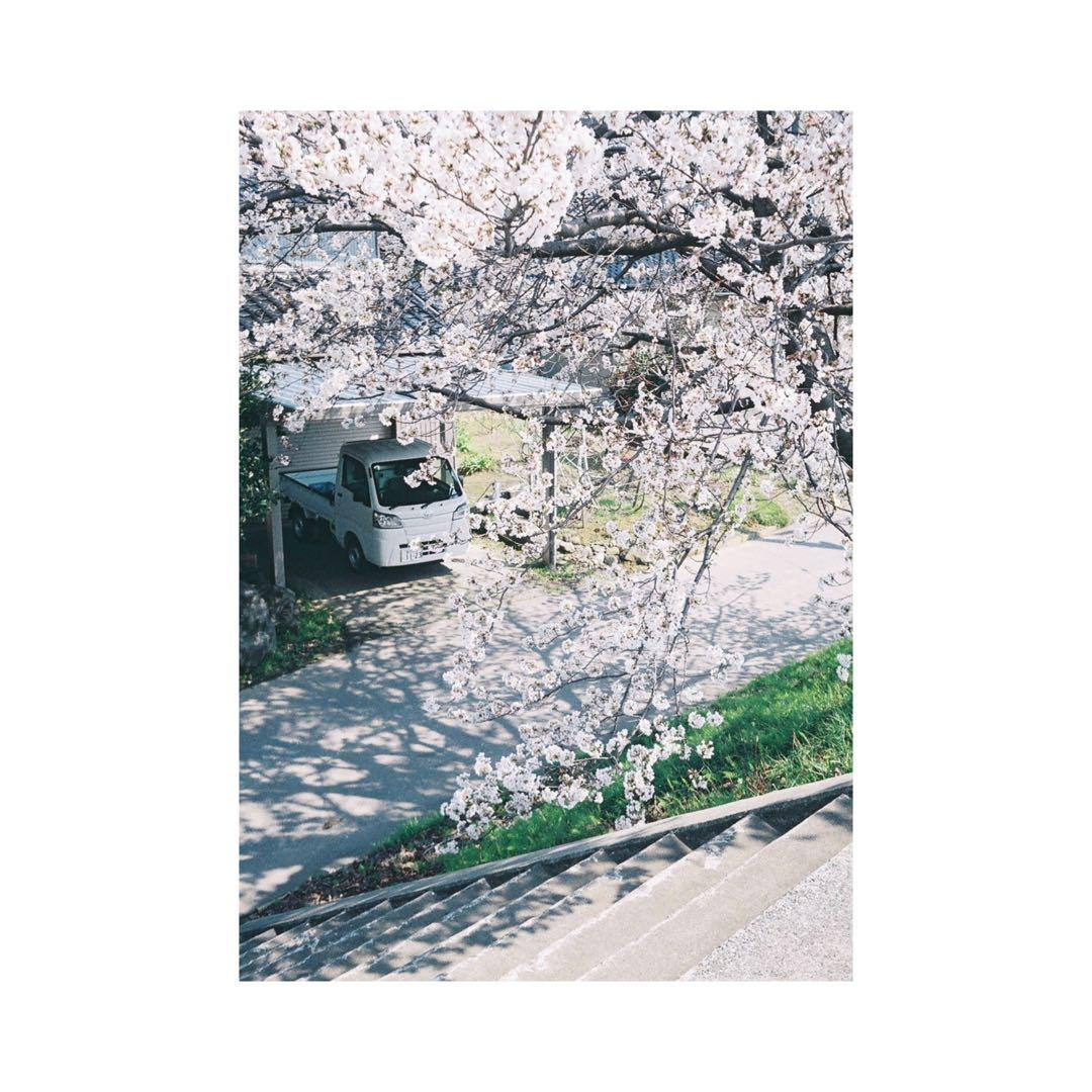 ⌘オーバーホール、完動品！ ハーフカメラ OLYMPUS PEN EE-3⌘