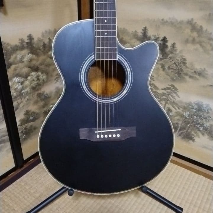 アコースティックギター 黒 ブラック　カスタム　Tay○or パールシェル製