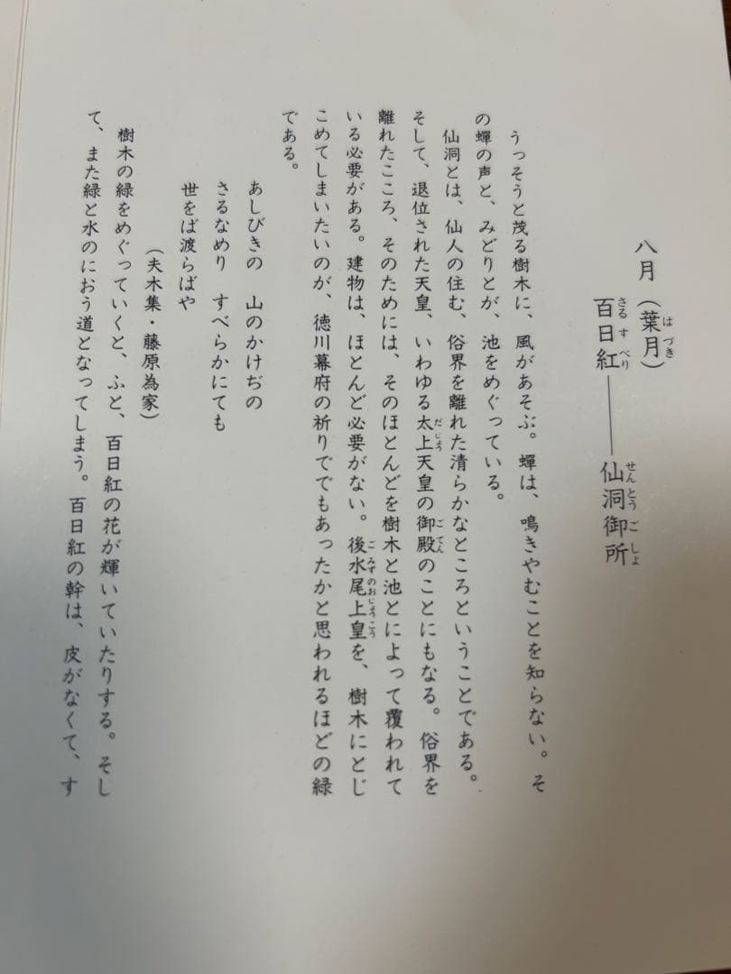 132桑野むつ子 京都 御所の花十二ヶ月【8月百日紅】抹茶椀・和陶皿 しおり付