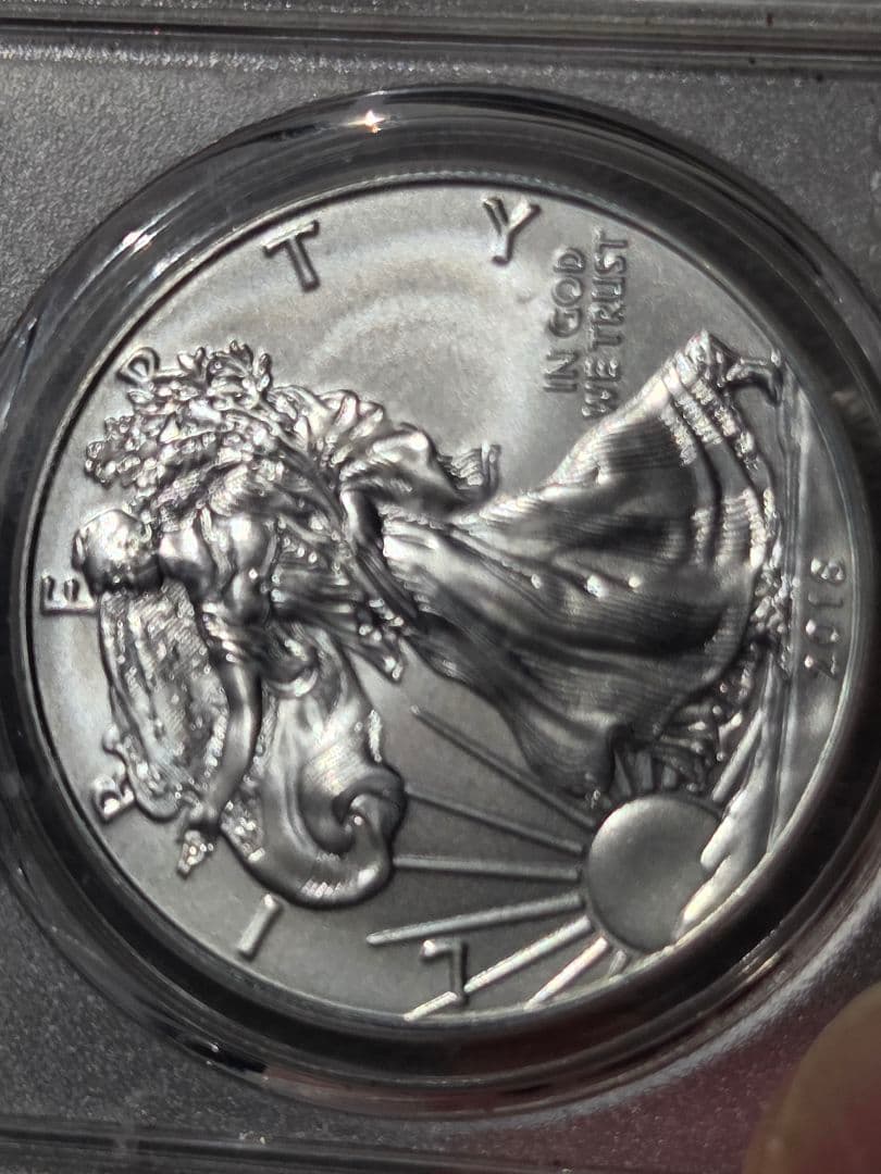 (MS70)アメリカ合衆国　シルバー イーグル銀貨　2018 FS