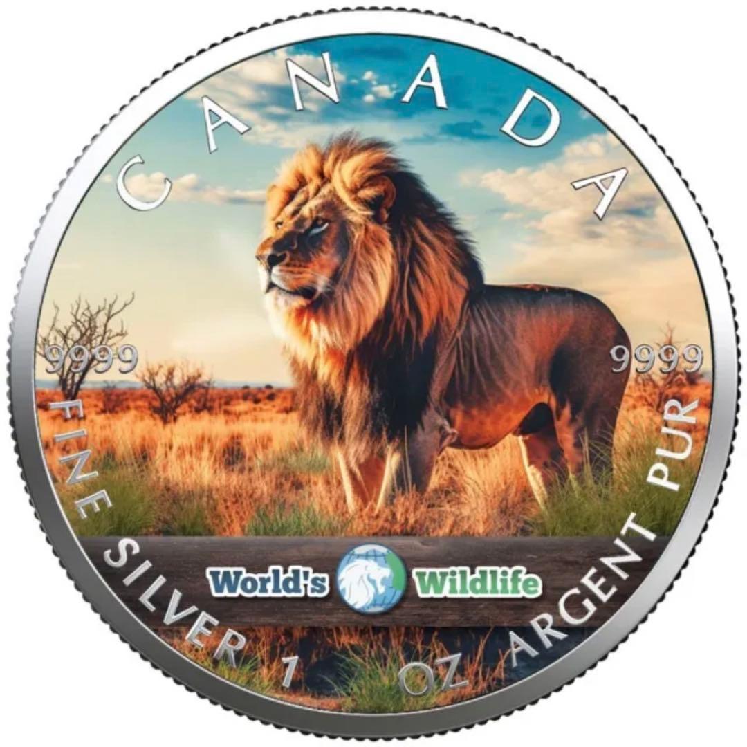 世界100枚限定！ カナダ メイプルリーフ 銀貨 カラー 野獣ライオン 1オンス