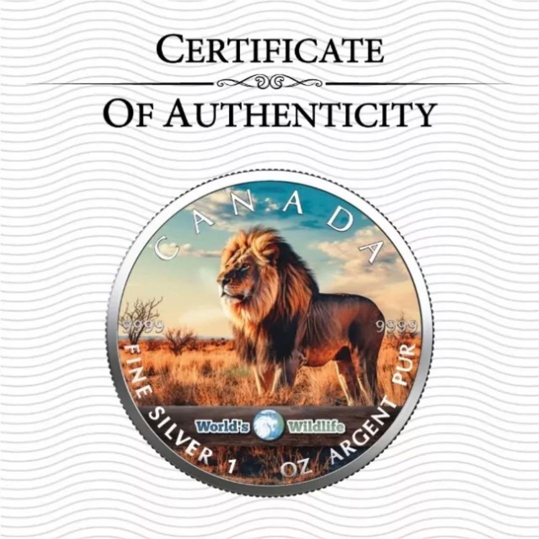 世界100枚限定！ カナダ メイプルリーフ 銀貨 カラー 野獣ライオン 1オンス
