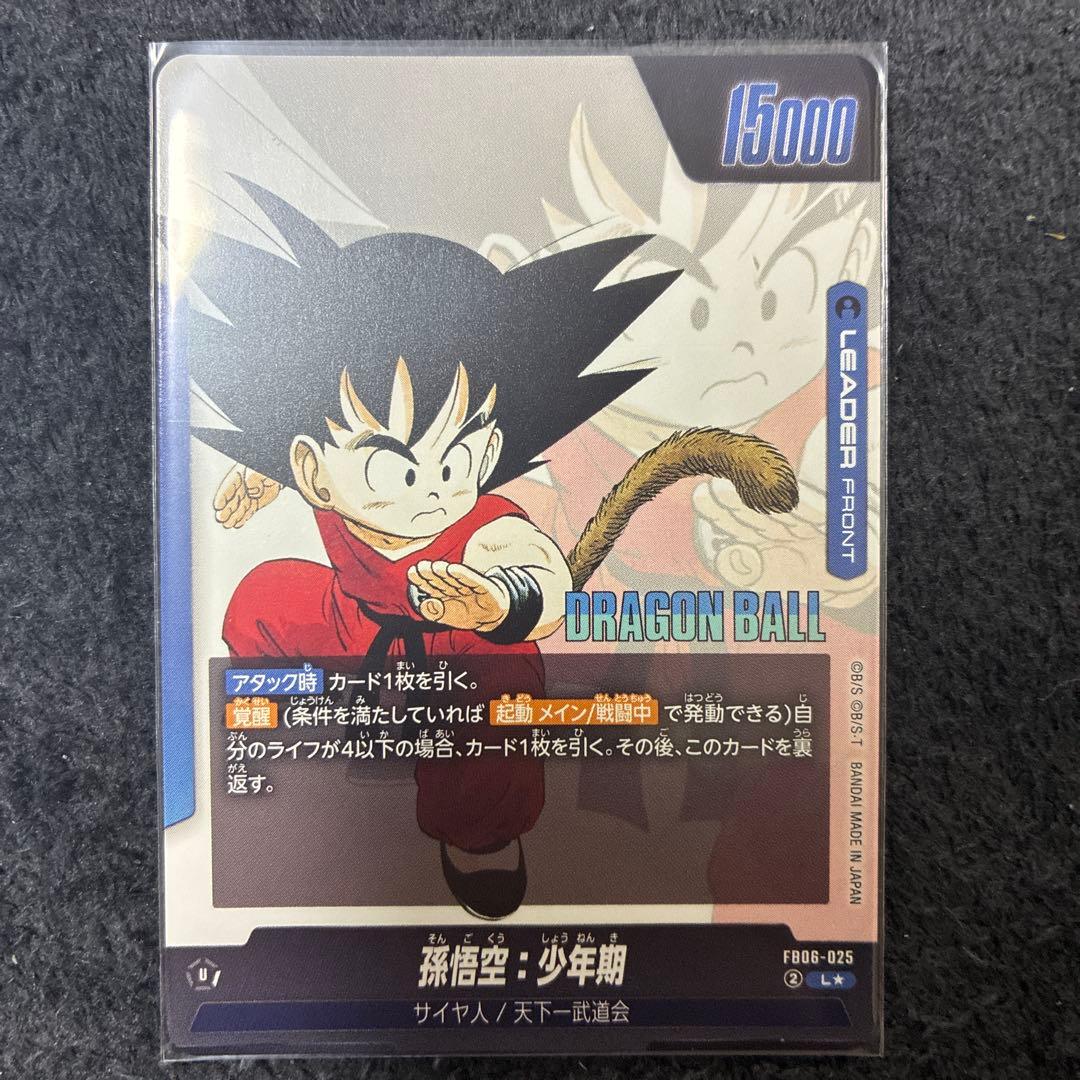 エナジーマーカー一巻&リーダーカード