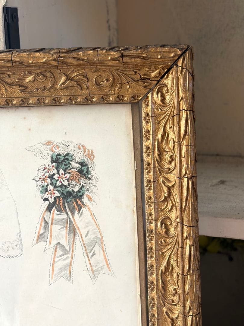 フランスアンティーク ファッションプレート 額 ガラス付き フレーム イラスト