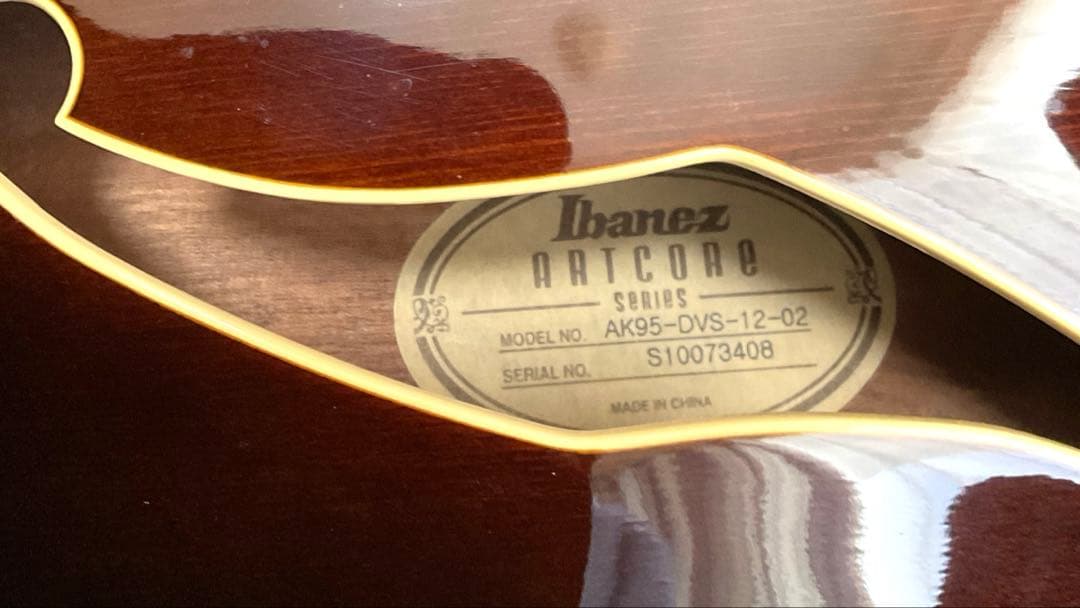 Ibanez AK95-DVS-12-02 フルアコギター