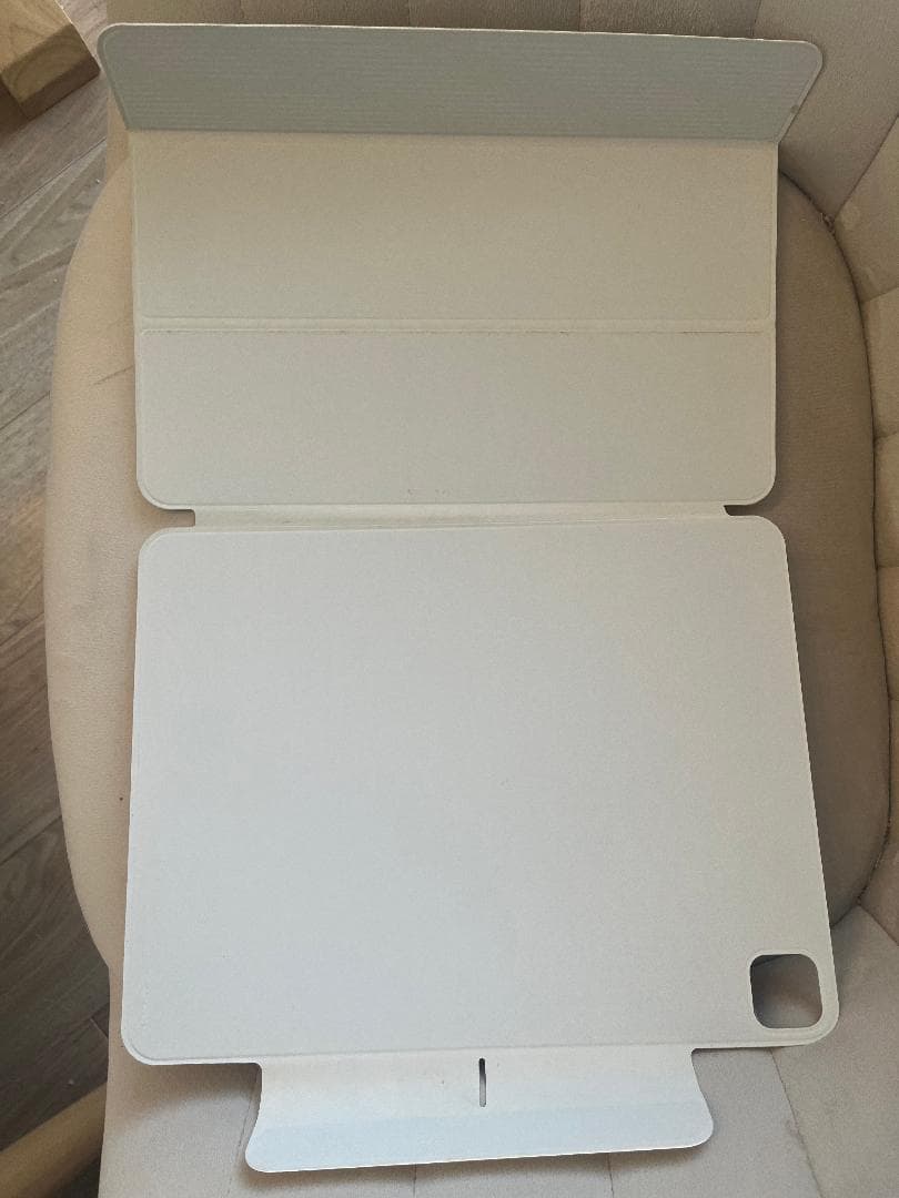 iPad Pro 第6世代 M2 256GB シルバー