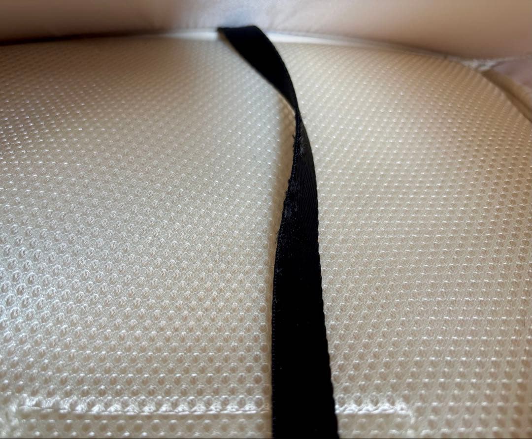 【 citydog / シティドッグ 】ネオプレーン バックパック キャリー