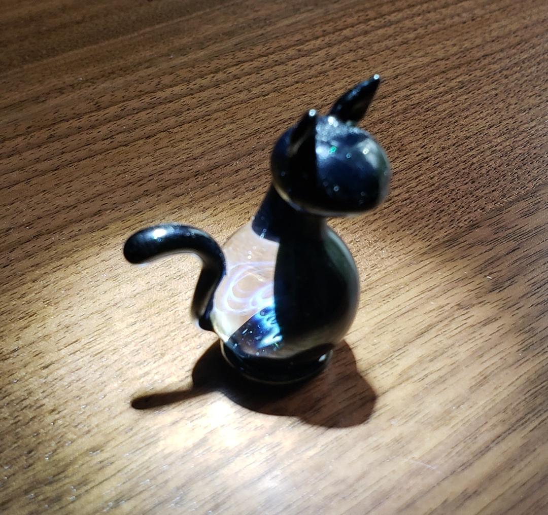 宇宙　ガラスの猫
