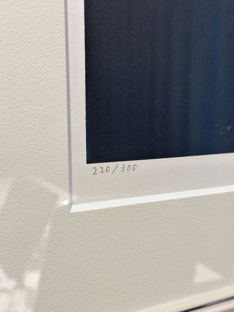 天野喜孝　【月の猫】　版画　リトグラフ　額装　直筆サイン　アールビバン社保証書付