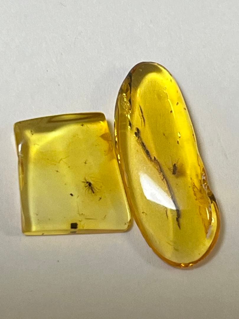 バルト海産　虫入り琥珀　12個セット　全て虫入り　本物保証　良いコンディション