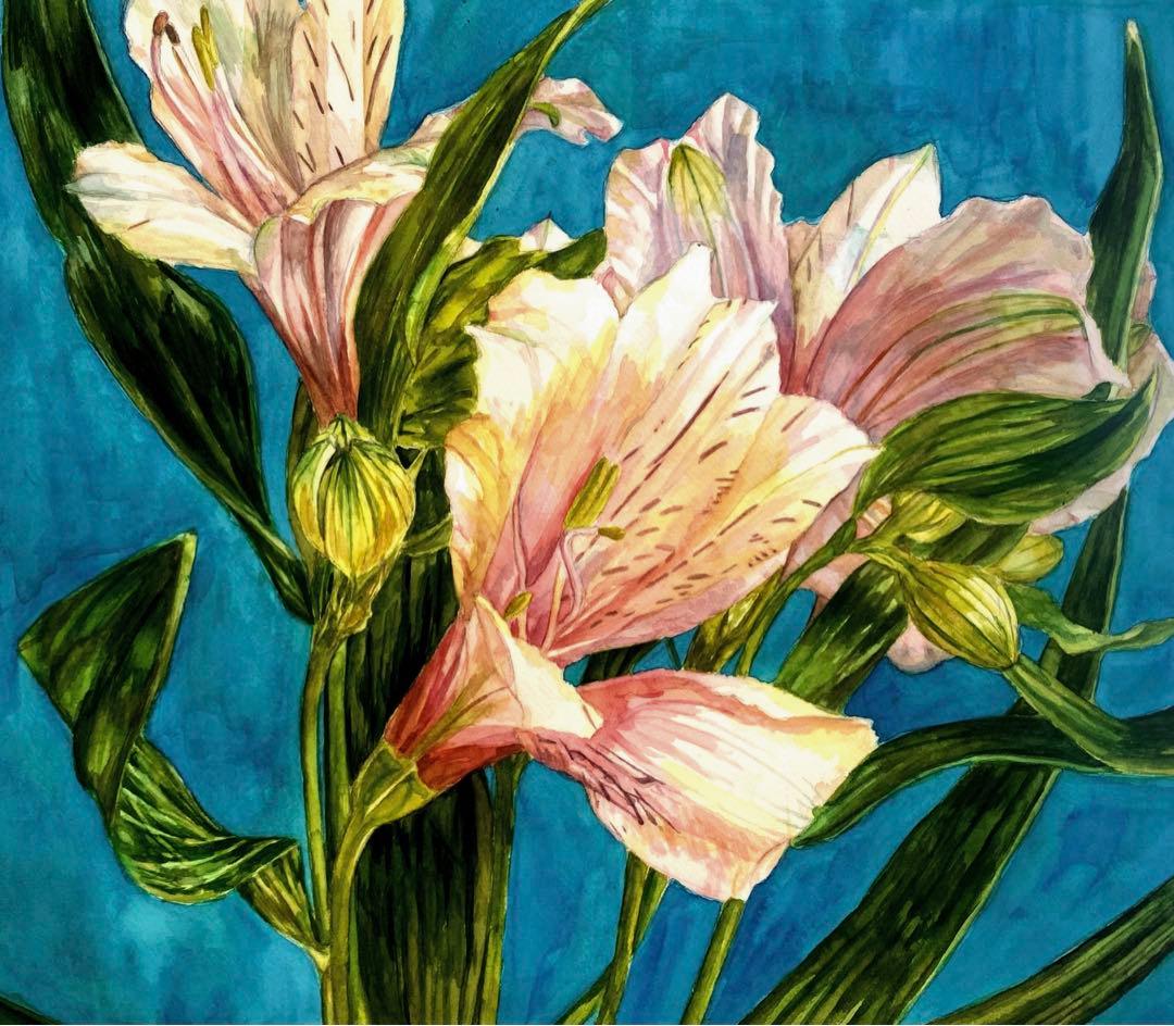 【東】アルストロメリア