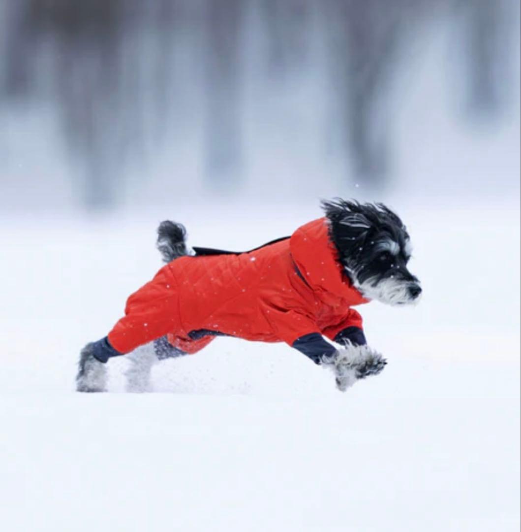 ALPHAICON DOG GUARD AIR Ｓサイズ