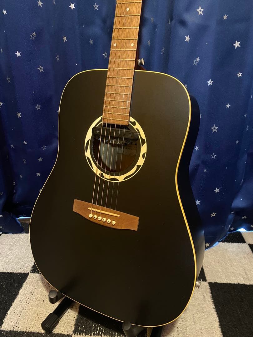 Art & Lutherie Wild Cherry (エレアコ仕様)