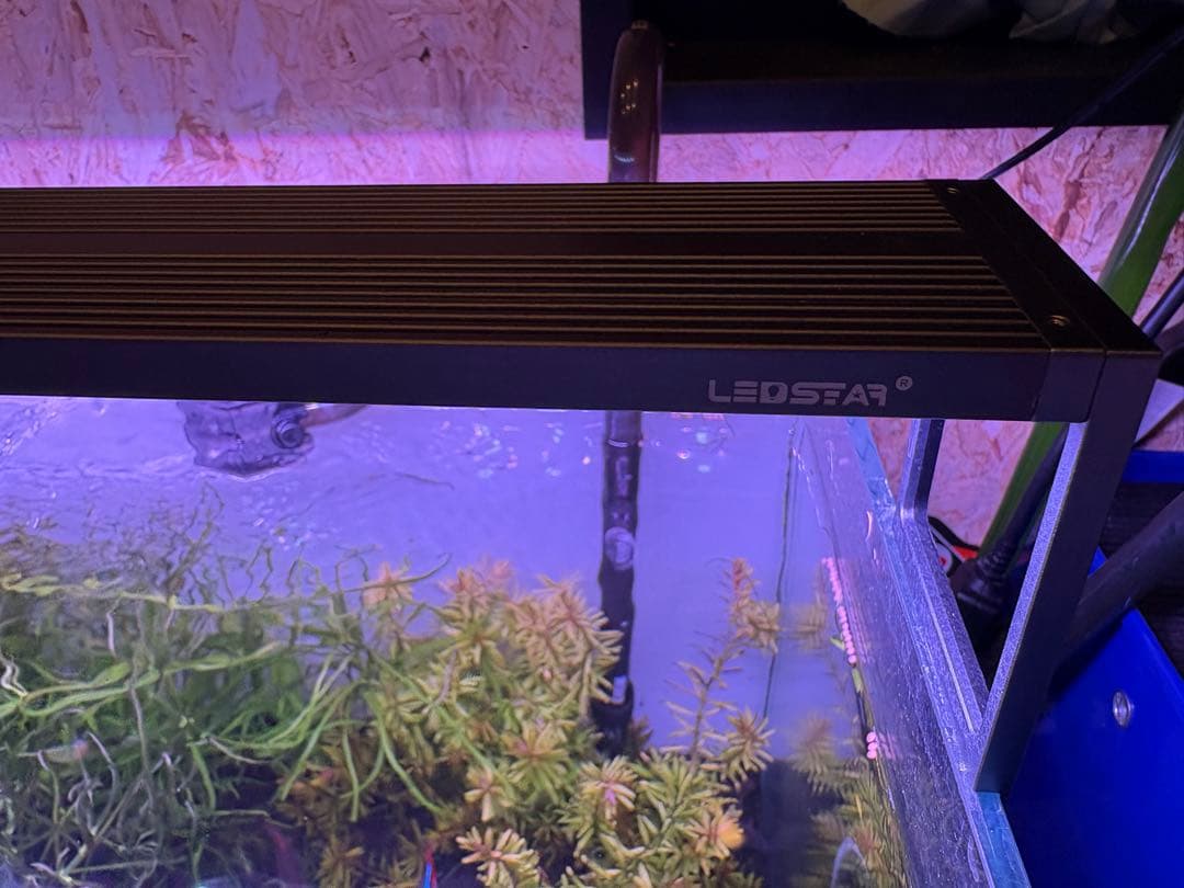 LEDSTAR S2 60cm ライト