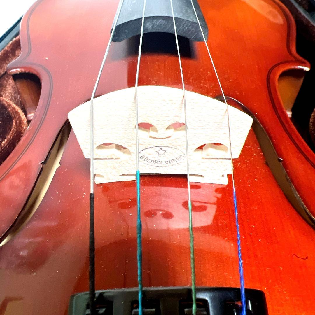 【美品・美虎杢】Carlo giordano バイオリン VS-1S 4/4