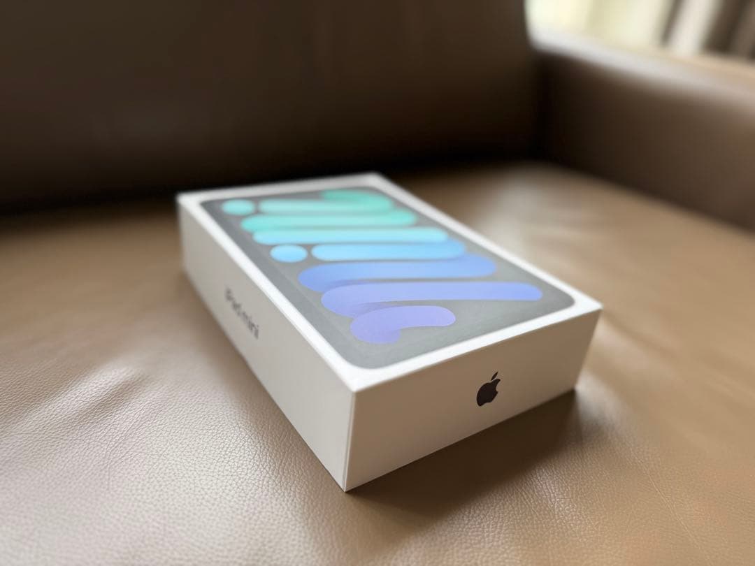 iPad mini 6 64Gスペースグレー本体+Apple Pencil