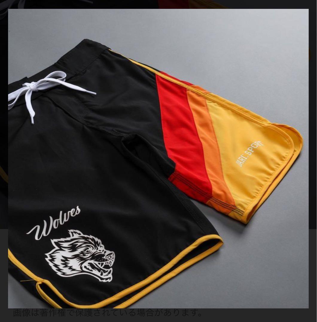 レア⭐︎ダルクスポーツ　DarcSport サーフパンツ 30インチ