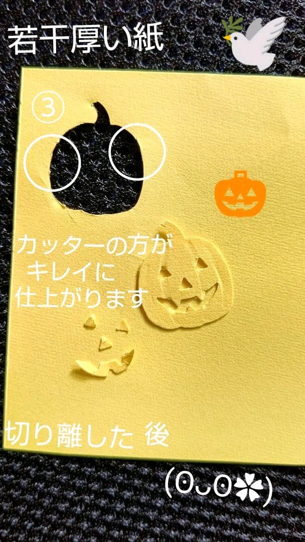 ご確認頂けますと幸いです(*˘︶˘*).。*♡