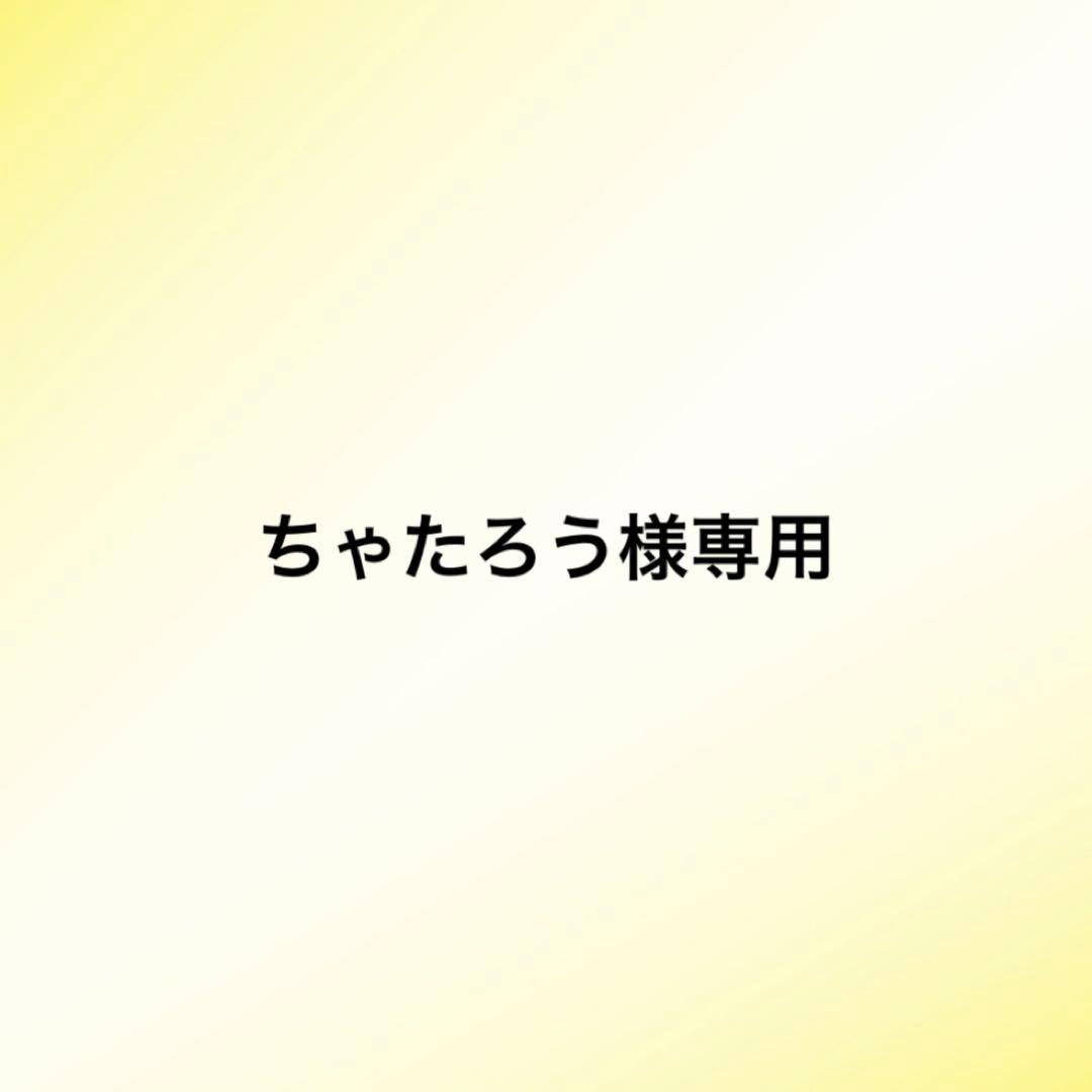 専用商品　トリミングチョーカー
