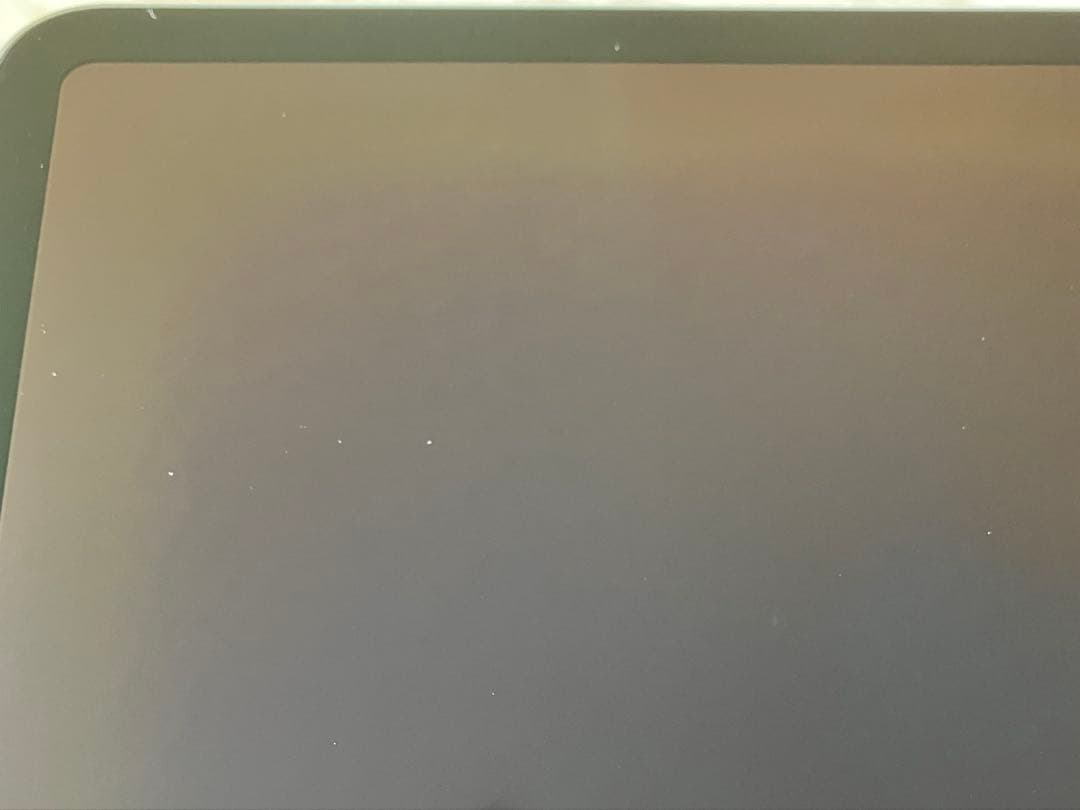 【完動品】iPad Pro 11インチ 第2世代 256GB 【すぐ発送】