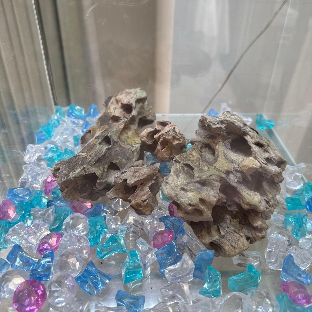 ADA30㎝ガラスキューブガーデン　キャビネット　アクアスカイ　付属品セット