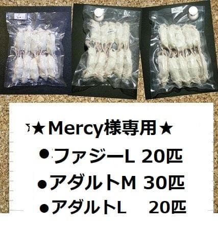 ★Mercy★国産冷凍マウス　リクエスト品