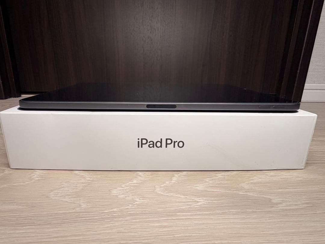 11インチ iPad Pro（第2世代） 256GB Wi-Fiモデル