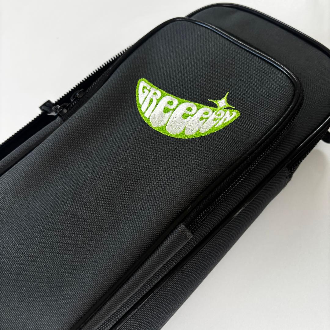 500本限定/レア美品★ GReeeeN Naviモデル　レスポール　ケース付属