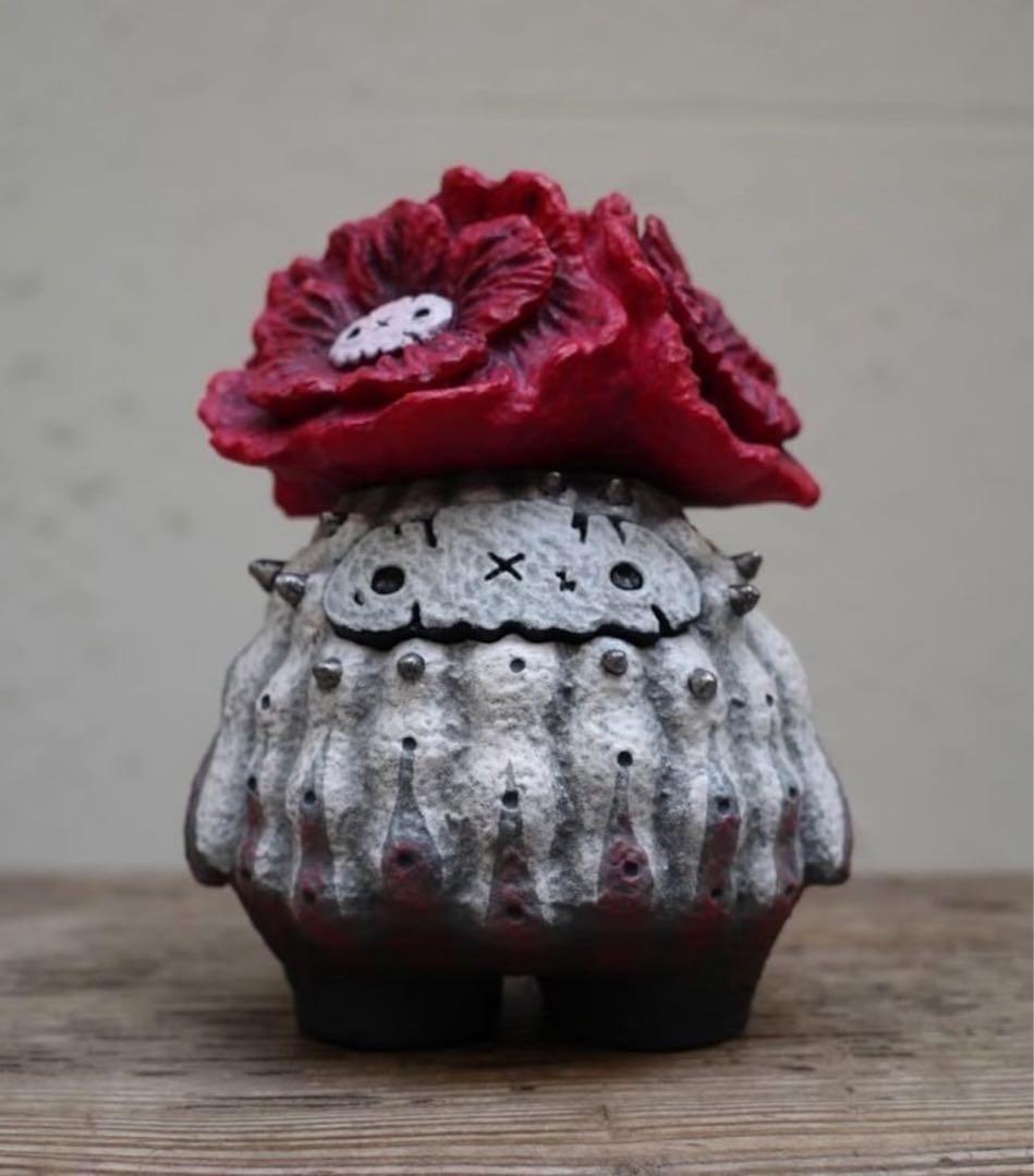 その他 COPIAPOA CINEREA FLOWER SEASON