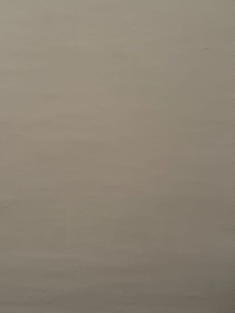 岩谷麻優 サイン入りポスター STARDOM 2025