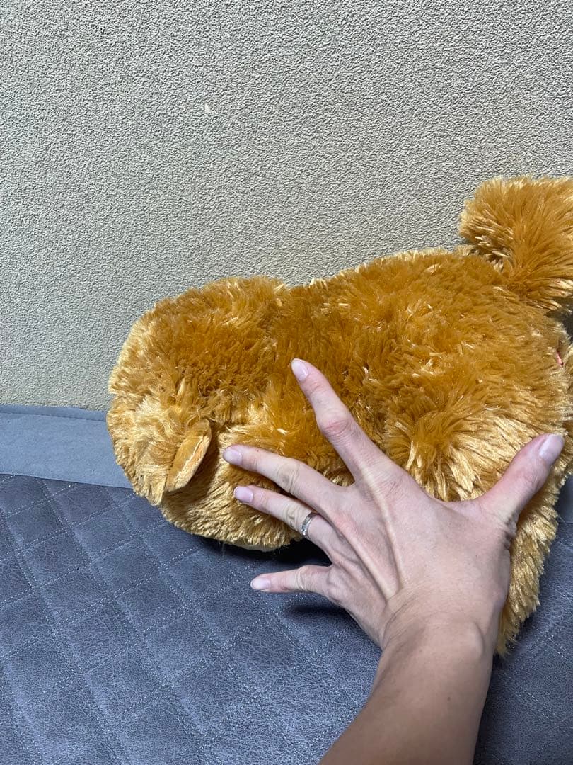 ぬいぐるみ5体（鳥・動物・犬）