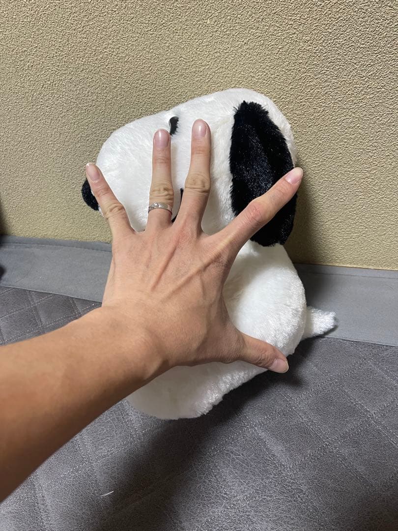 ぬいぐるみ5体（鳥・動物・犬）